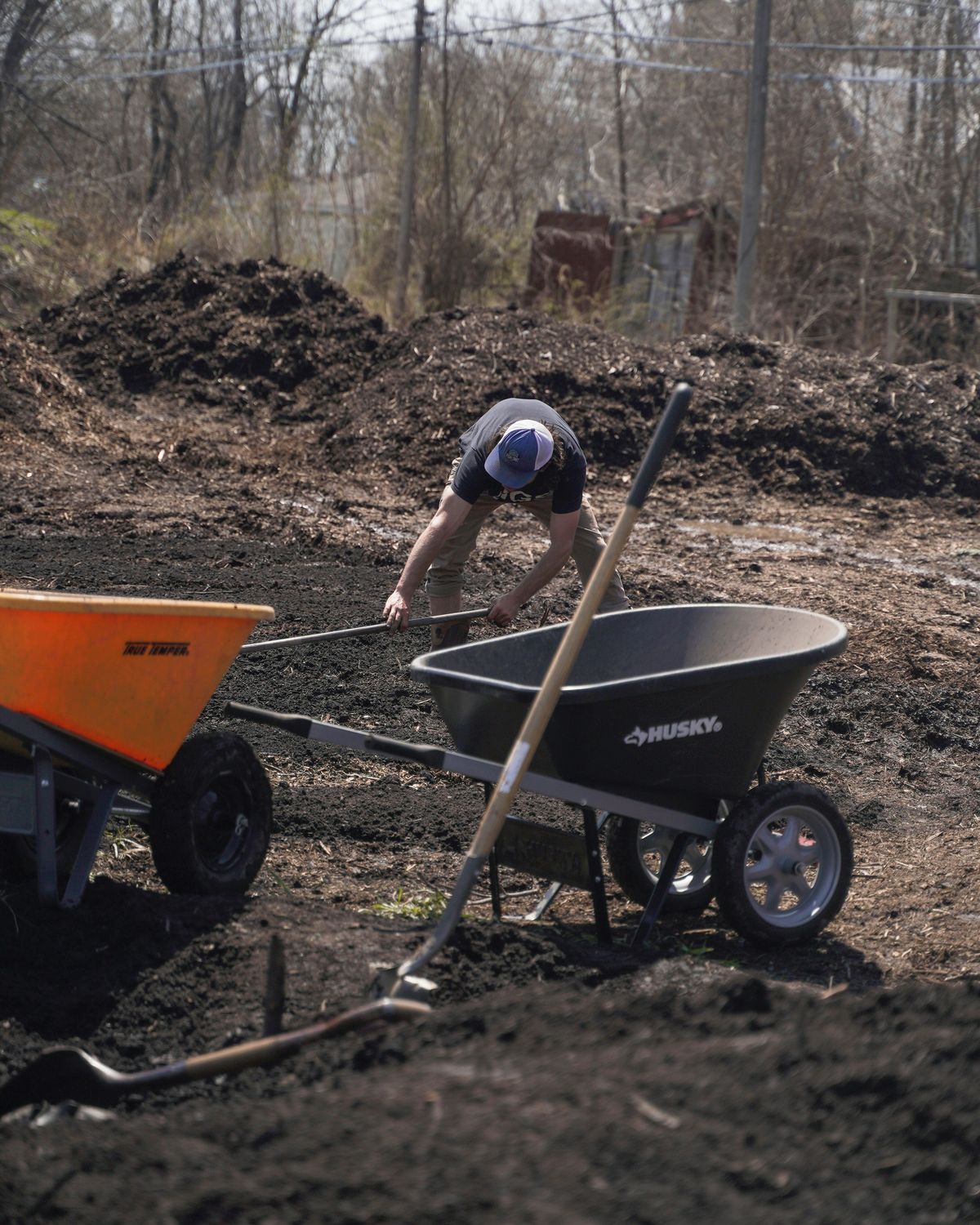 Worker shoveling fresh mulch into wheelbarrows for installation